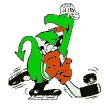 Hokej - HC Rokytno