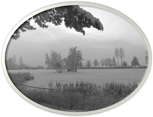 Noviny: Prosinec 2009